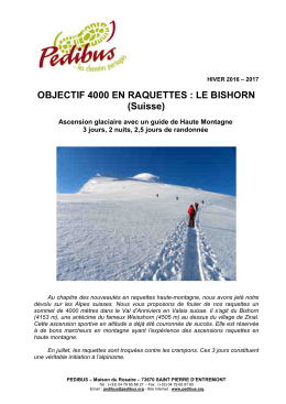 OBJECTIF 4000 EN RAQUETTES : LE BISHORN (Suisse)