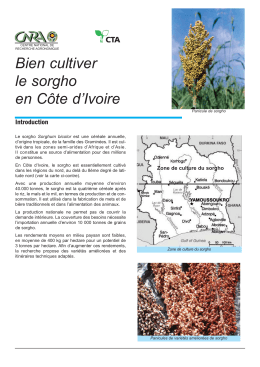 Voir PDF - agrici.net