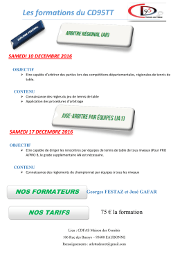 G1617-003 AFFICHE FORMATIONS CDTT95