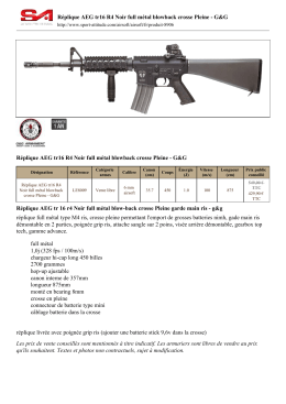 Réplique AEG tr16 R4 Noir full métal blowback - Sport