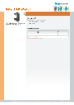Fiche technique Tête Zap Métal