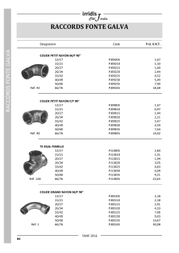 raccords fonte galva