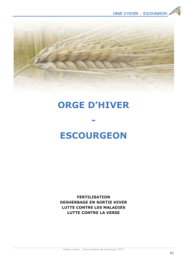 orge d`hiver - escourgeon - Chambres d`Agriculture d`Ile-de