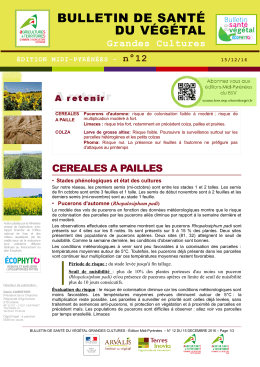 bulletin de santé du végétal - DRAAF Languedoc