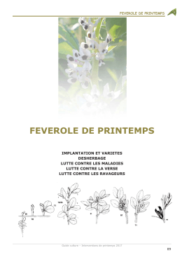 feverole de printemps - Chambres d`Agriculture d`Ile-de