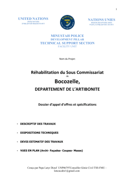 Annexe 3a.3. TdR rehabilitation Bocozelle