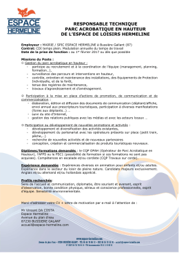 responsable technique parc acrobatique en hauteur de