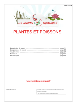 plantes et poissons - Les Jardins Aquatiques