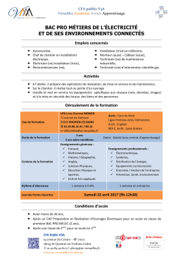bac pro métiers de l`électricité et de ses environnements connectés