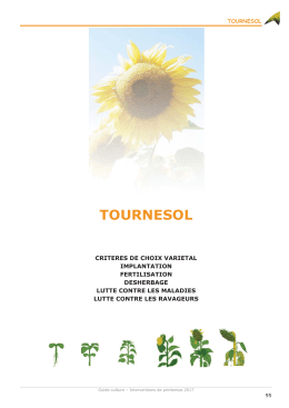 tournesol - Chambres d`Agriculture d`Ile-de