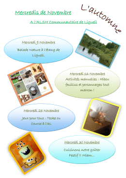 Planning des activit&eacute;s pr&eacute;vues pour les mercredis de novembre 2016