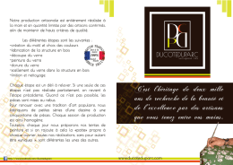 Techniques leaflet (France) - Web