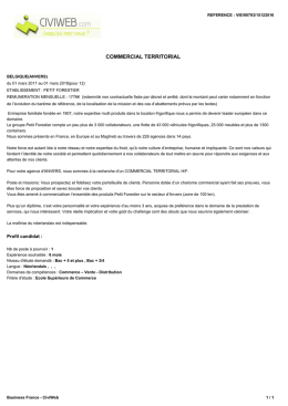 Offre COMMERCIAL TERRITORIAL