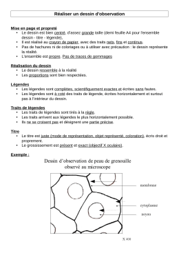 Réaliser un dessin d`observation