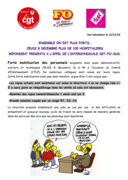 de 100 hospitaliers au CTEL du 8 d&eacute;cembre - Sud Sant&eacute; AP-HP