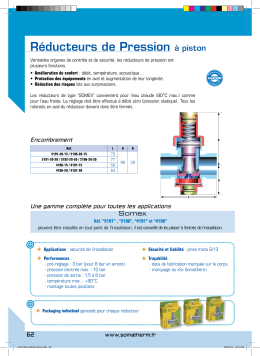 R&eacute;ducteurs de Pression &agrave; piston
