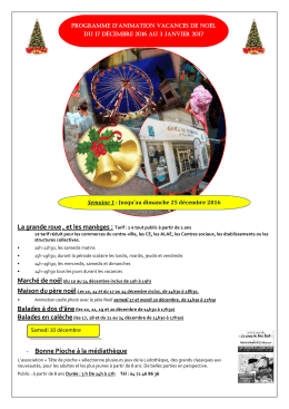 La grande roue, et les man&egrave;ges :