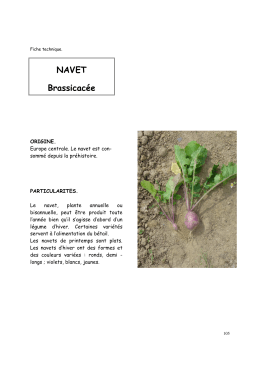 Voir PDF - agrici.net
