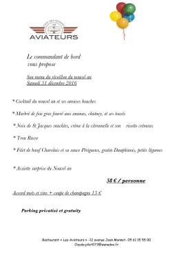 Le commandant de bord vous propose