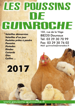 Notre catalogue de produits et services 2017