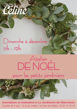 DE NO&Euml;L - Jardinerie de Chevreuse