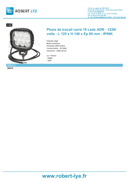 Phare de travail carré 10 Leds ADR - 12/80 volts - L - Robert-Lye