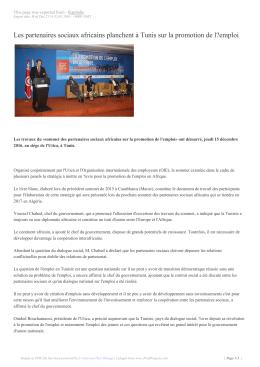 Les partenaires sociaux africains planchent &agrave; Tunis sur la