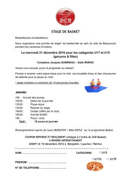stage de basket