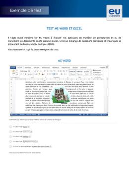 test ms word et excel ms word