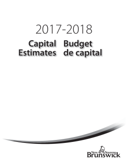 Capital Estimates Budget de capital