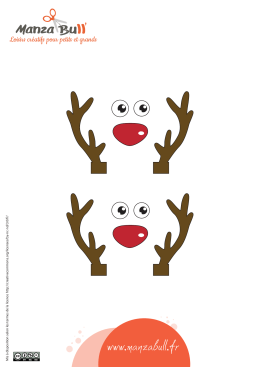 2016_manzabull_rennes_env