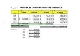 11. Budget 2017 &eacute;volution de la dette - Delley