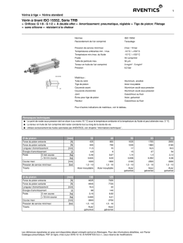 Vérin à tirant ISO 15552, Série TRB