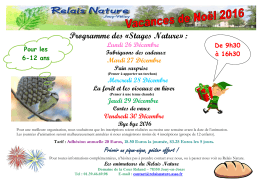 Stages des vacances de No&euml;l 2016