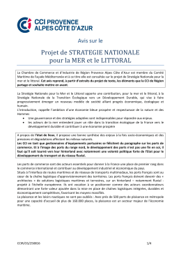 Projet de STRATEGIE NATIONALE pour la MER et le