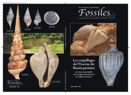 Le Lutétien de Damery (Marne, France) géologie, environnements