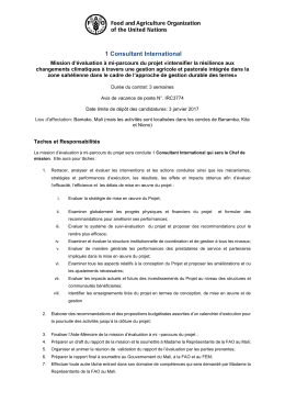 1 Consultant International