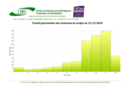 Facult&eacute; germinative des semences de sorgho au 10/12/2016