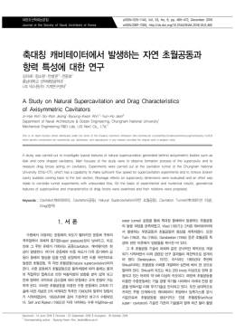 축대칭 캐비테이터에서 발생하는 자연 초월공동과 항력 특성