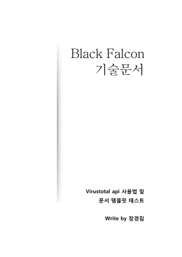 Black Falcon 기술문서