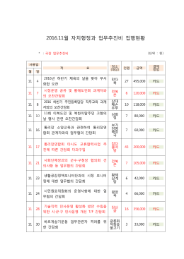 2016.11월 자치행정과 업무추진비 집행현황