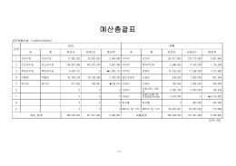 예산총괄표 - Daum