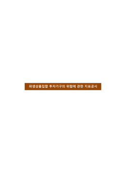 파생상품집합 투자기구의 위험에 관한 지표공시