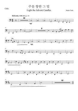 주주 향향 그 빛