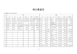 예산총괄표 - Daum