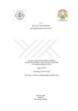 T.C. SEL&Ccedil;UK &Uuml;NİVERSİTESİ FEN BİLİMLERİ ENSTİT&Uuml;S&Uuml; CuCrO2