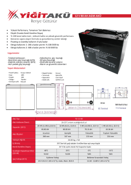 YD12-80 - Yiğit Ak&uuml;