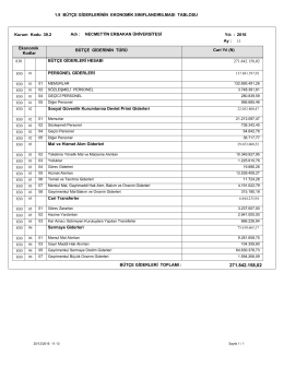 1.9.Bütçe Giderlerinin Ekonomik Sınıflandırılması Tablosu