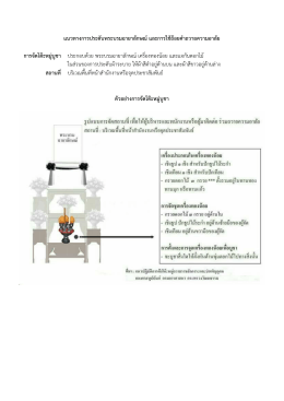 แนวทางการประดับพระบรมฉายาลักษณ์และการใช้ถ้
