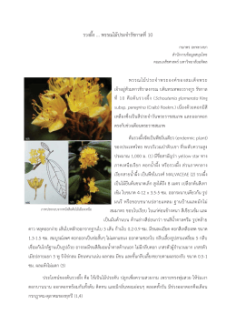 รวงผึ้ง พรรณไม  ประจํารัชกาลที่ 10